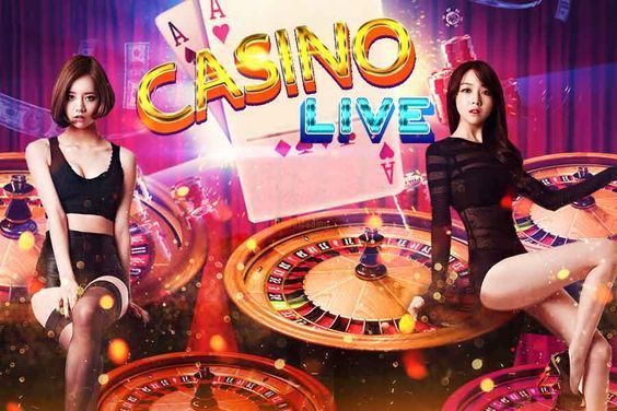 PLGame7 Live Casino